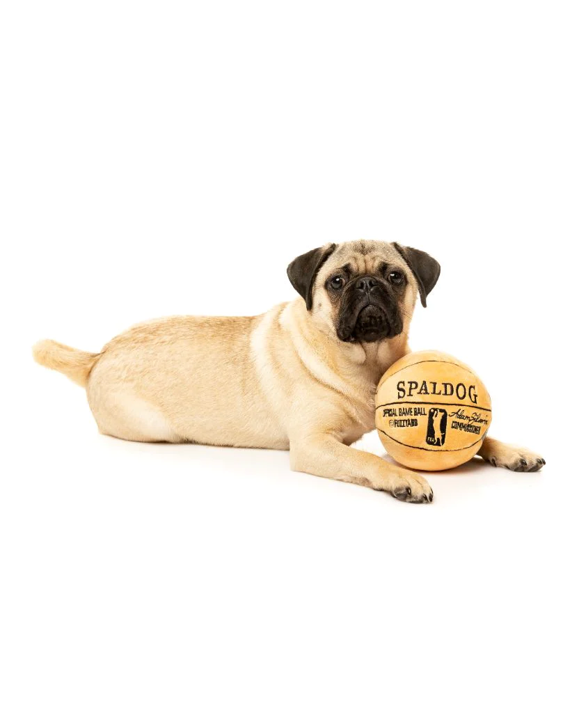 Fuzzyard Pelota Basketball - Imagen 2