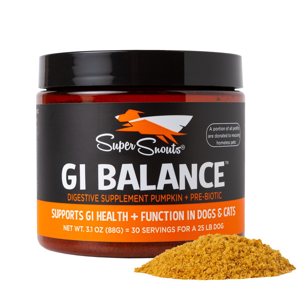 Super Snouts GI Balance