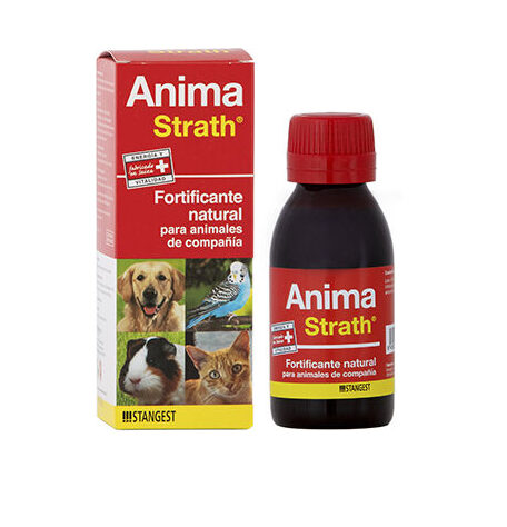 Anima Strath