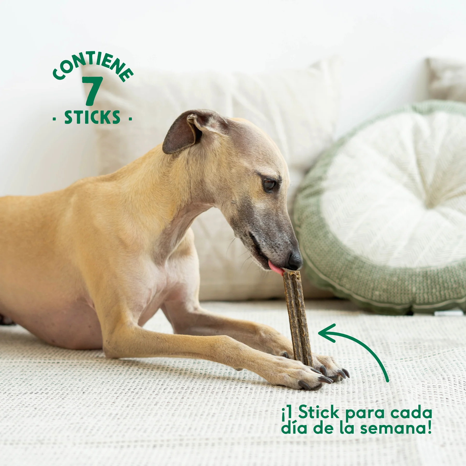 Wild Balance Sticks Dentales Calming - Imagen 2